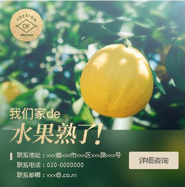 沿河果园果林小程序开发